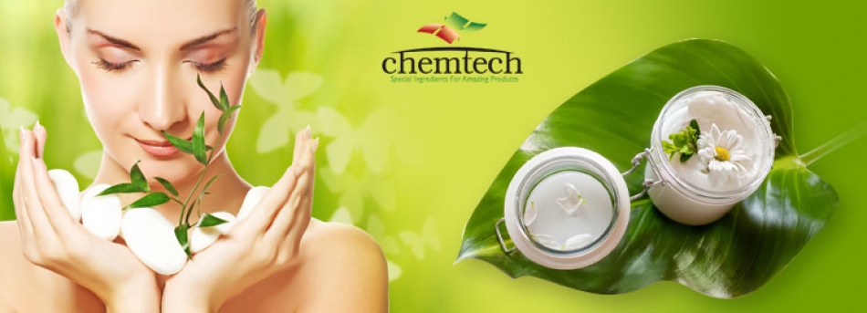 Servicii oferite de Chemtech